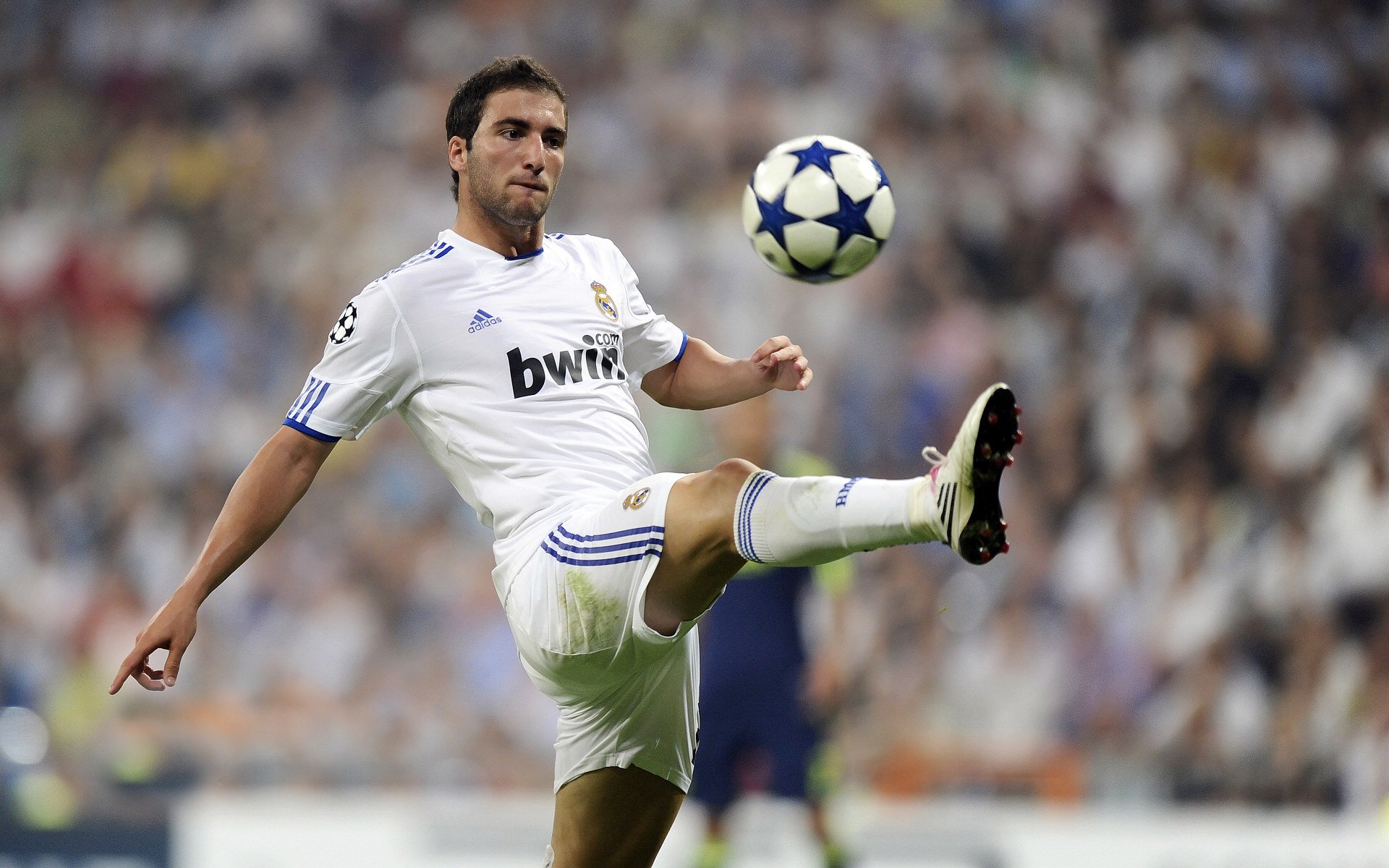 西甲联赛中的跨国球员生活故事，西甲球员国籍